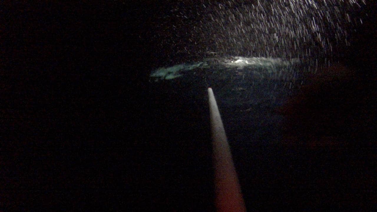 En stang peker mot sjøen, det er mørkt men et lys avslører regn i luften og noe som ligger i vannet.