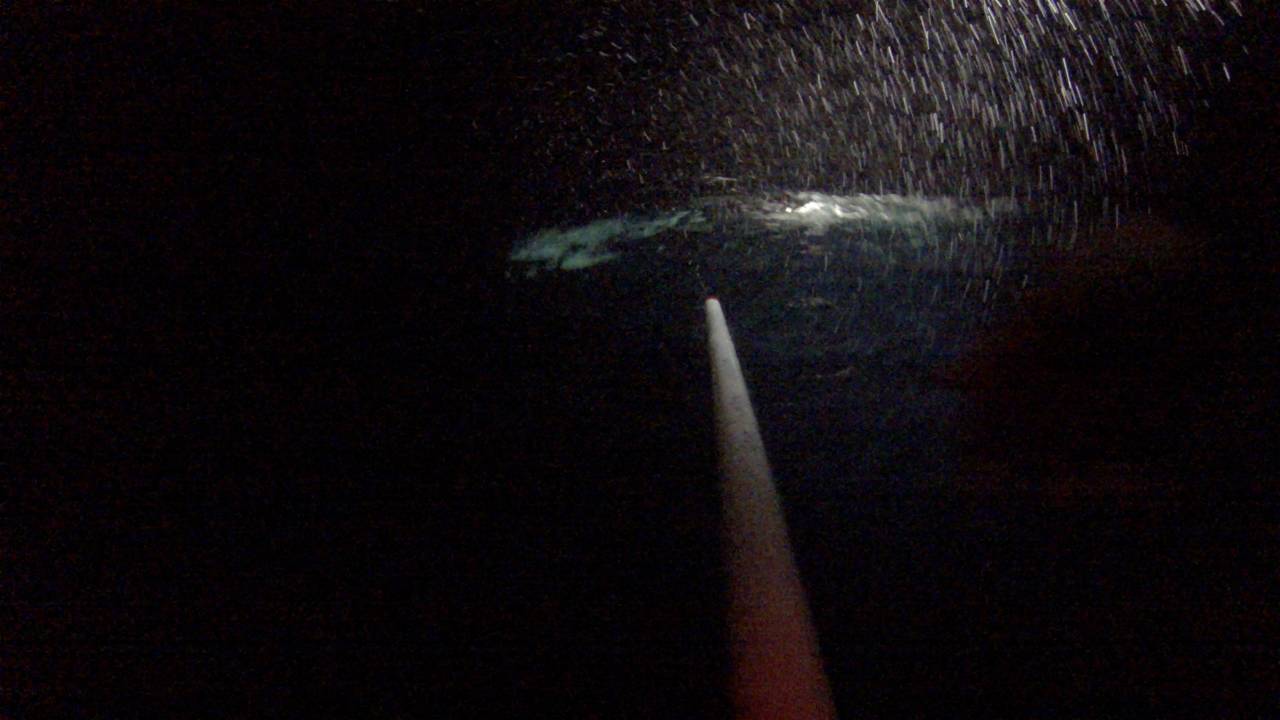 En stang peker mot sjøen, det er mørkt men et lys avslører regn i luften og noe som ligger i vannet.