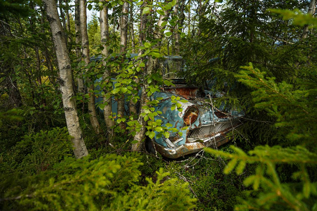 Opel-vrak i naturen