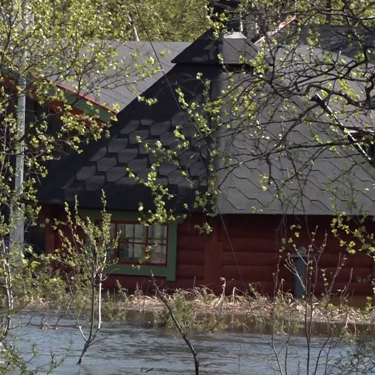 Flom Skoganvarre