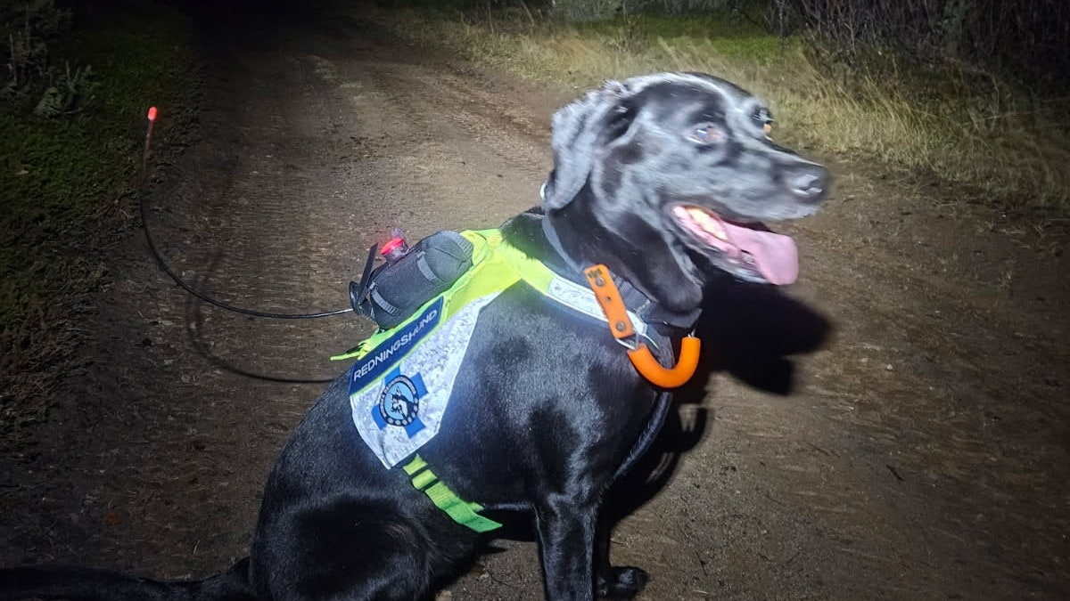 Søker med hund etter savnet mann: – Har vært ute siden fredag