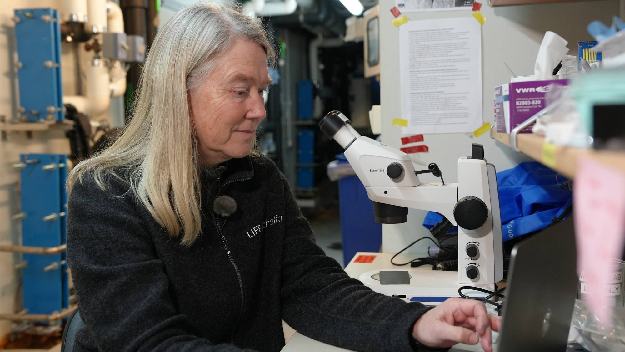 Forsker Ann Larsson ved Tjärnö marina laboratorium