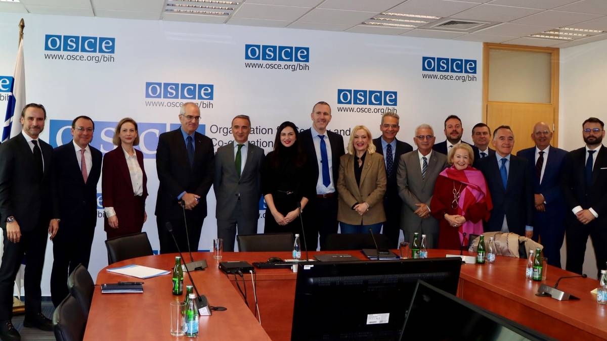 Stortingspolitiker valgt til leder for delegasjon til OSSE