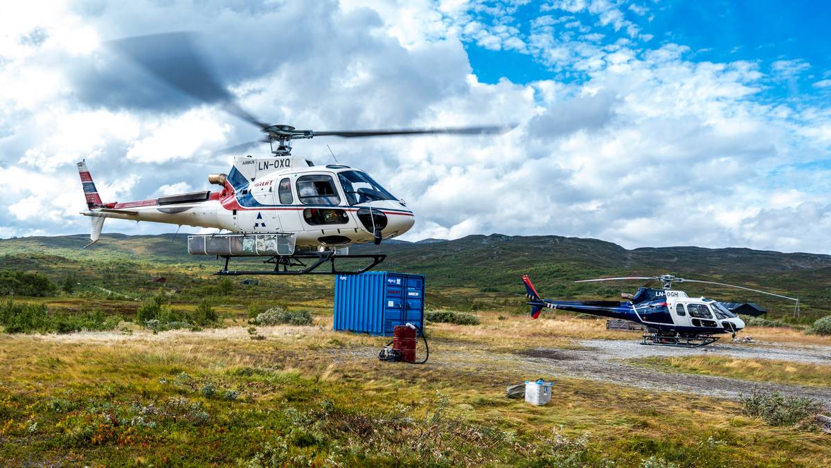 Flere hundre helikopterturer under villreinjakten: – For langt å gå