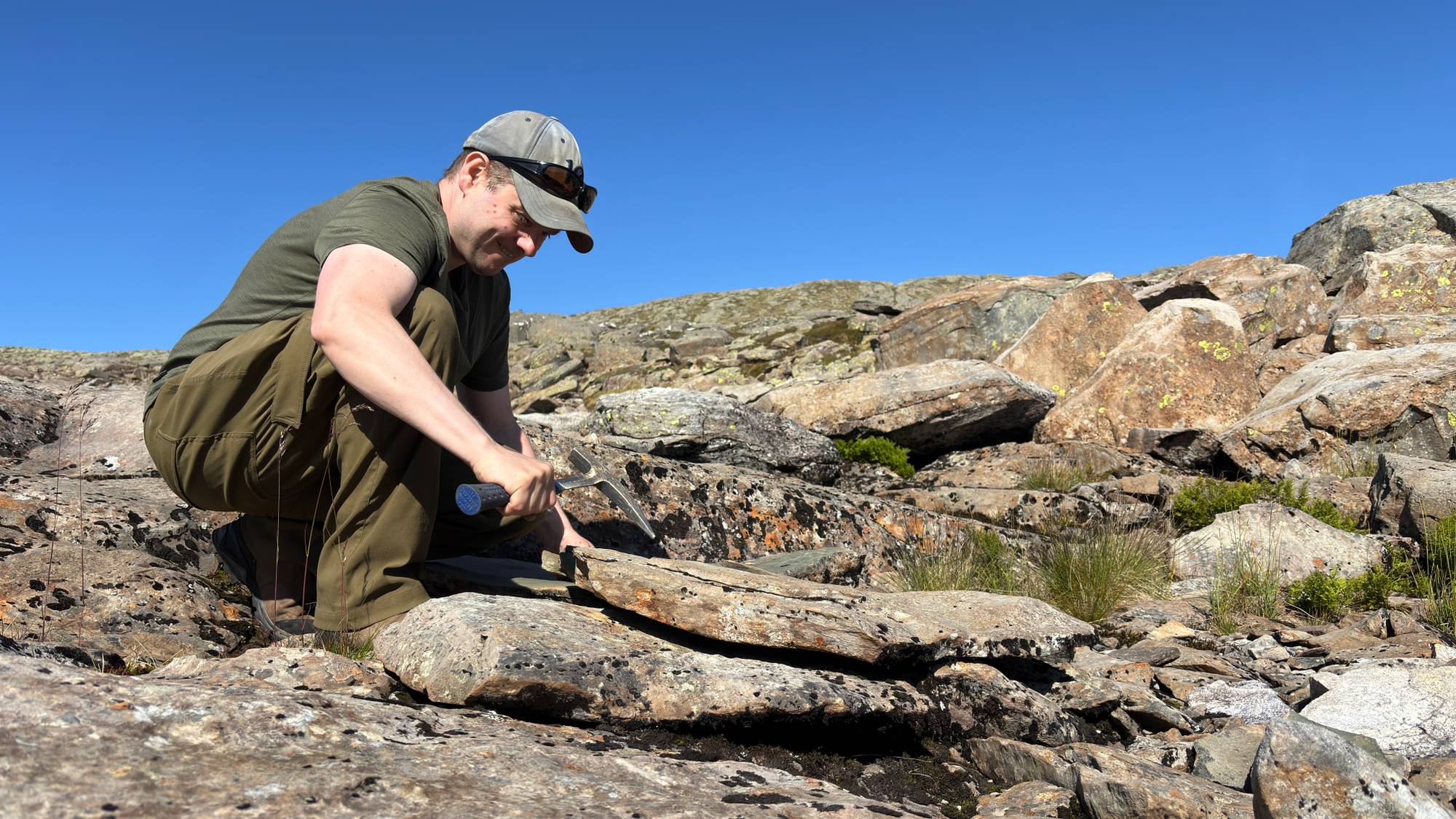 Funn av fossilar ved Storehesten