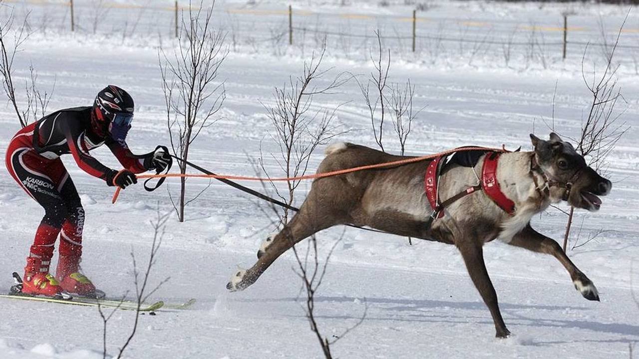 Ánne Risten Sara og Thug