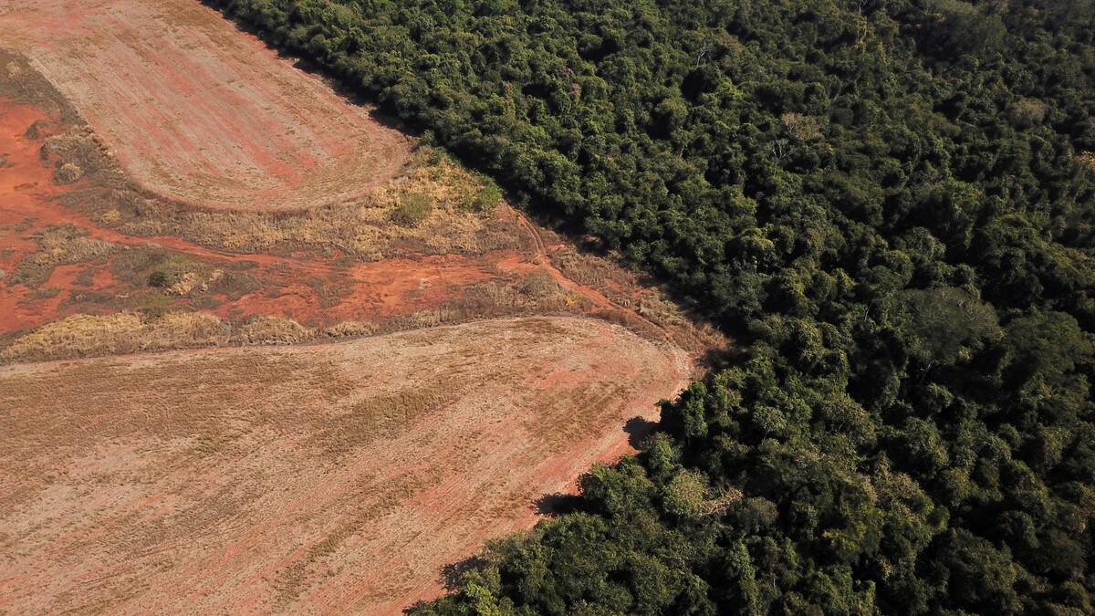 AFP: Avskoging i Brasil økte med 150 prosent i 2022