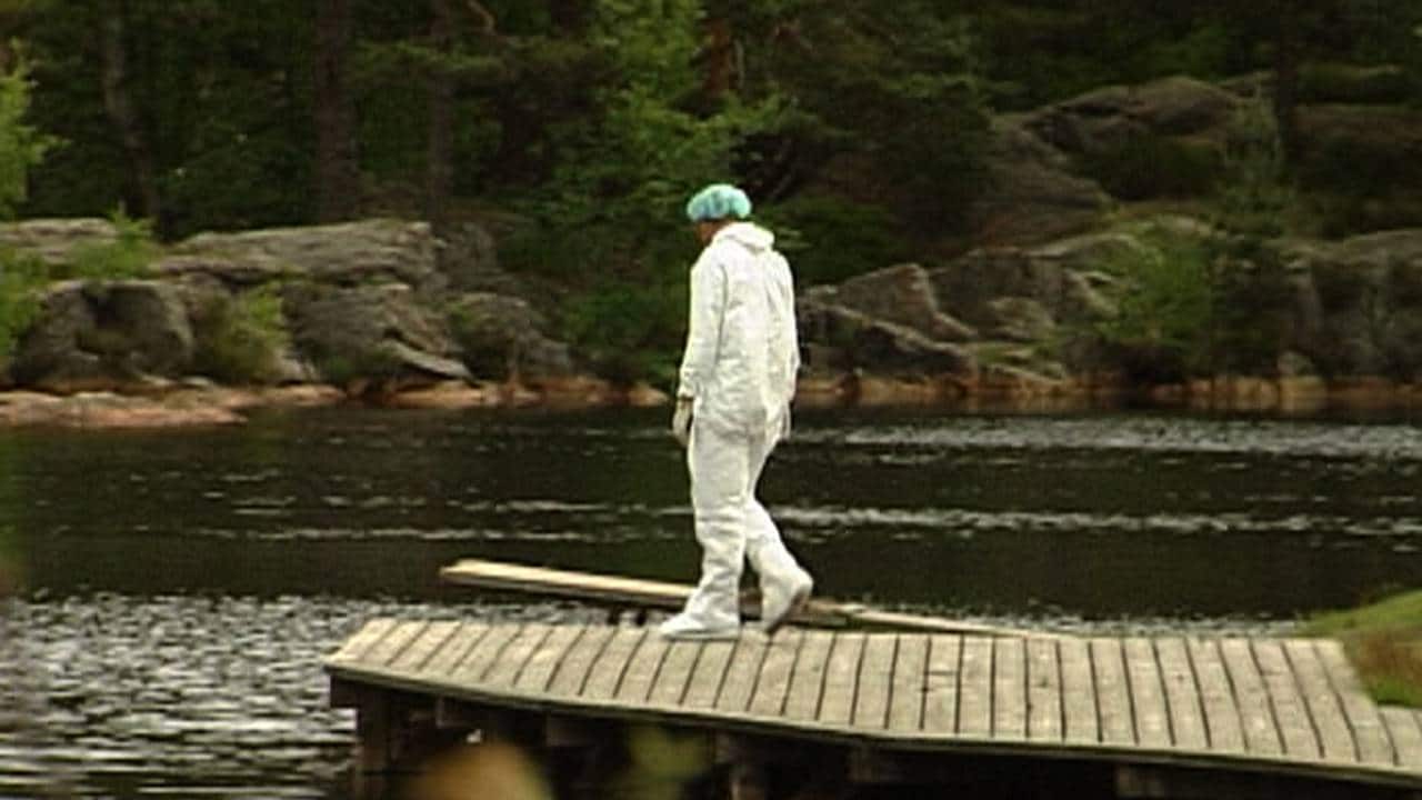 Krimtekniker Baneheia