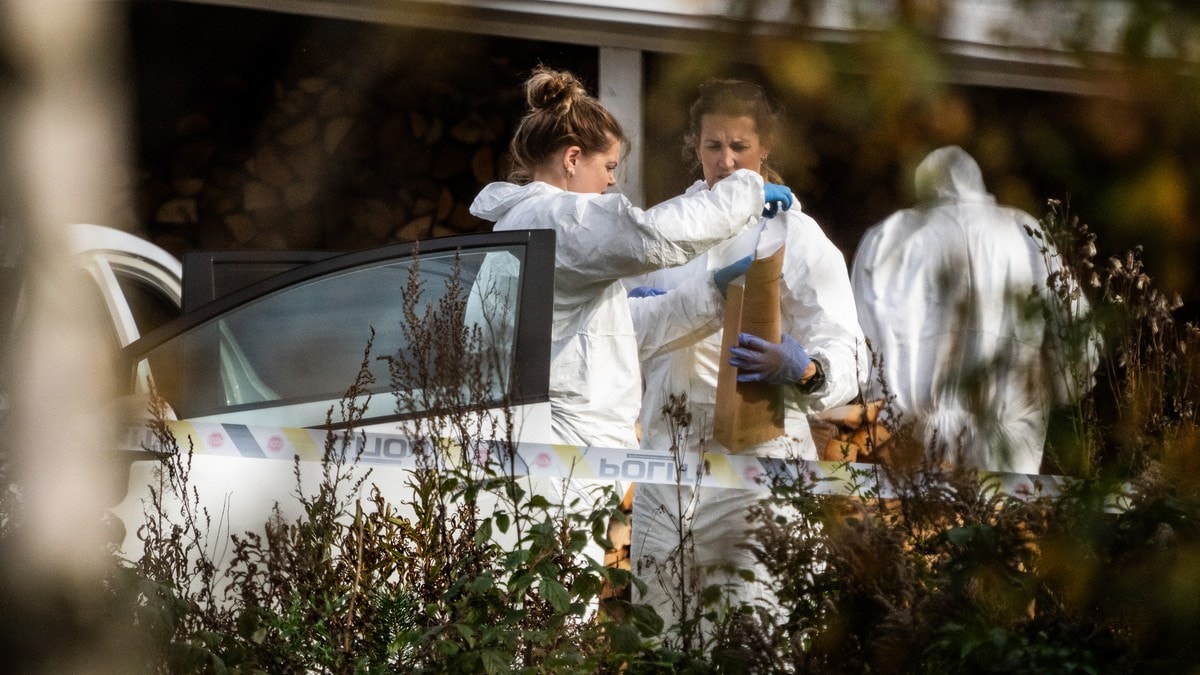 Kripos: Markant økning av drap og drapssaker de siste to årene