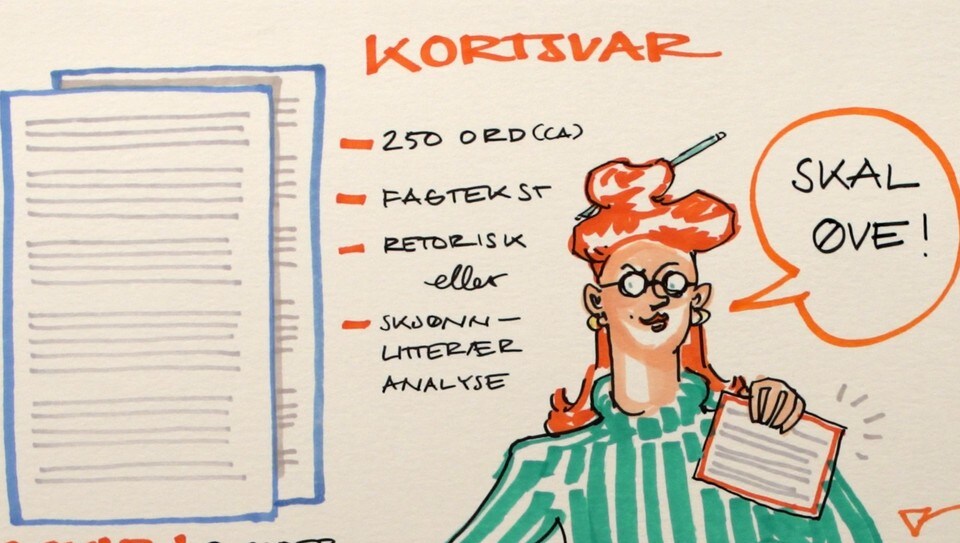 Nrk Skole Laererike Programmer Og Klipp