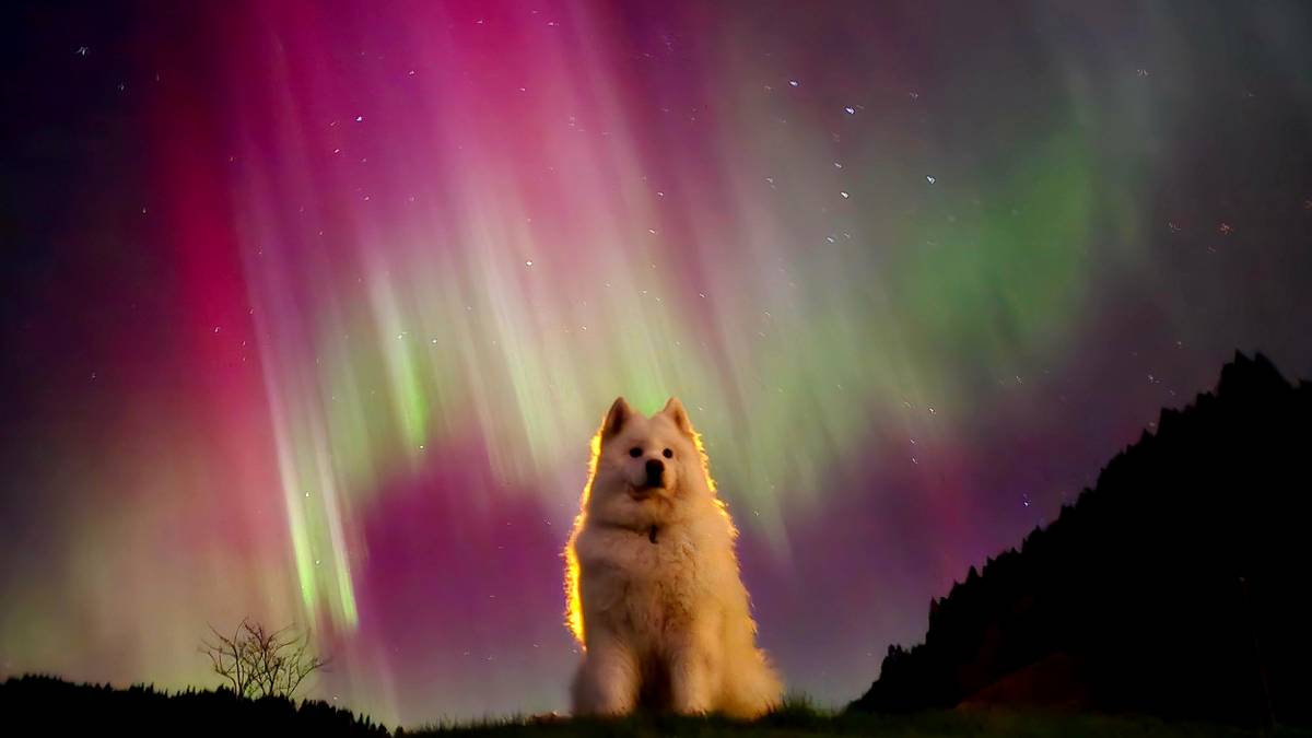 Nordlys i heile landet: – Magisk!