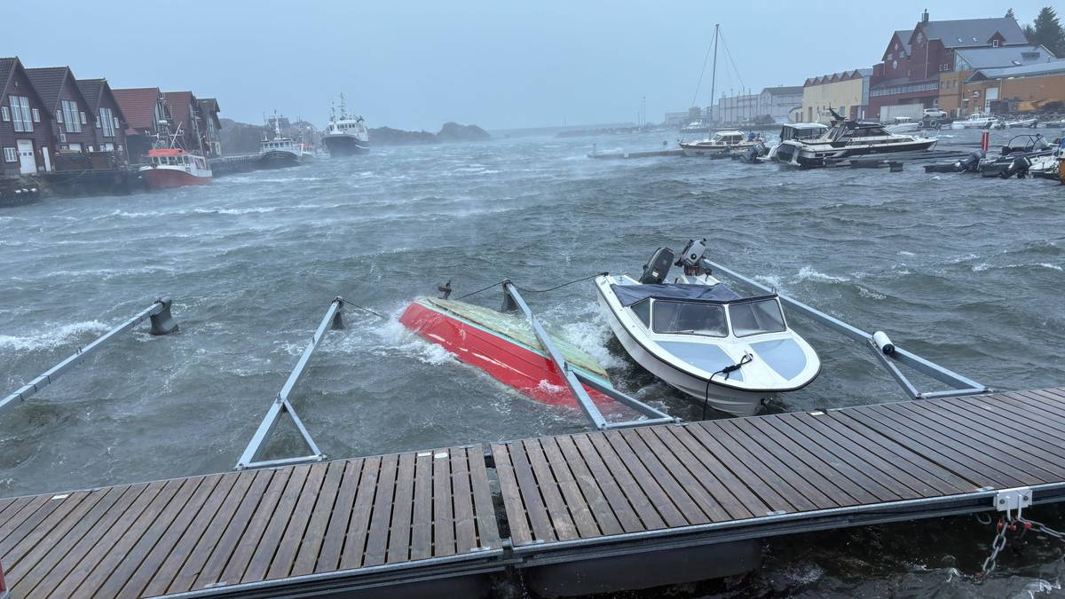 Storm Dave's Dual Assault: Severe Weather in Norway and Its Threat to Wildlife Ecosystems