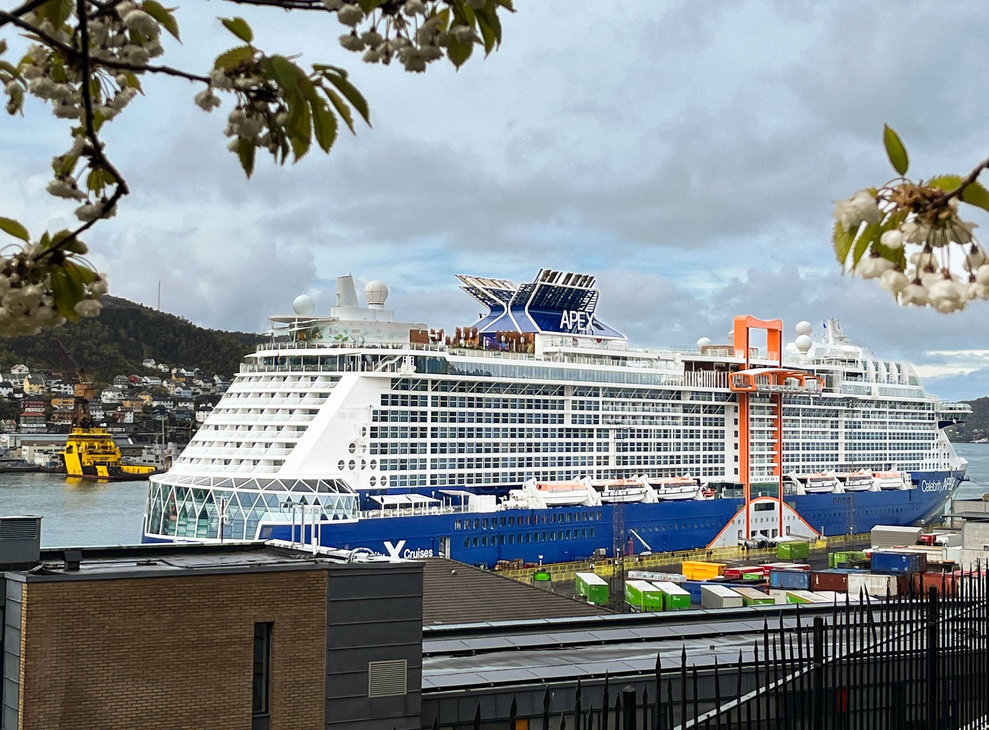 Hvitt og blått cruiseskip ligger til havn i Bergen. 