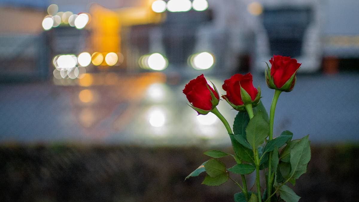 Tapte mot staten – Norsk vegansamfunn får ikke rett til statsstøtte
