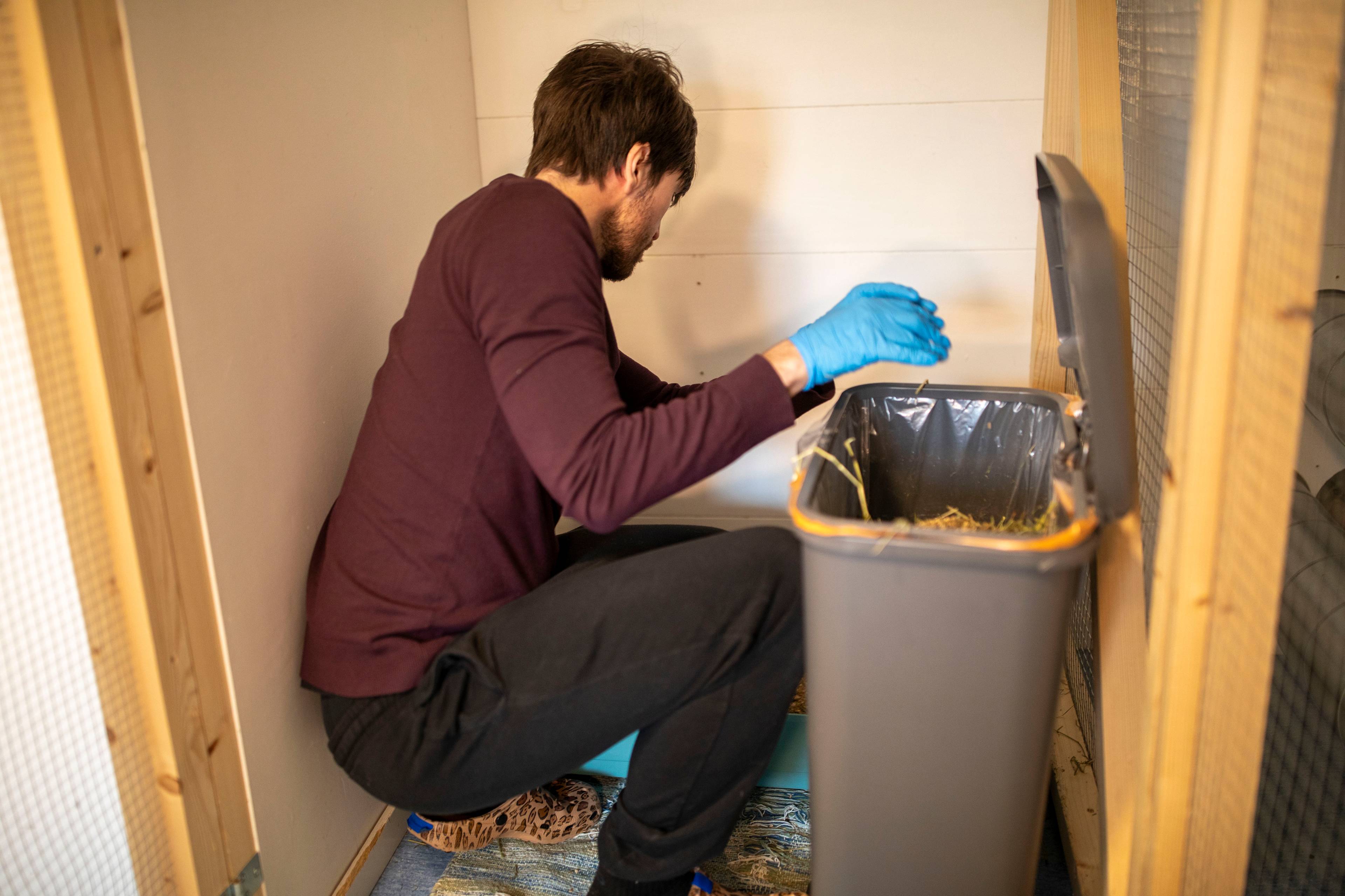 En frivillig plukker dyrebæsj