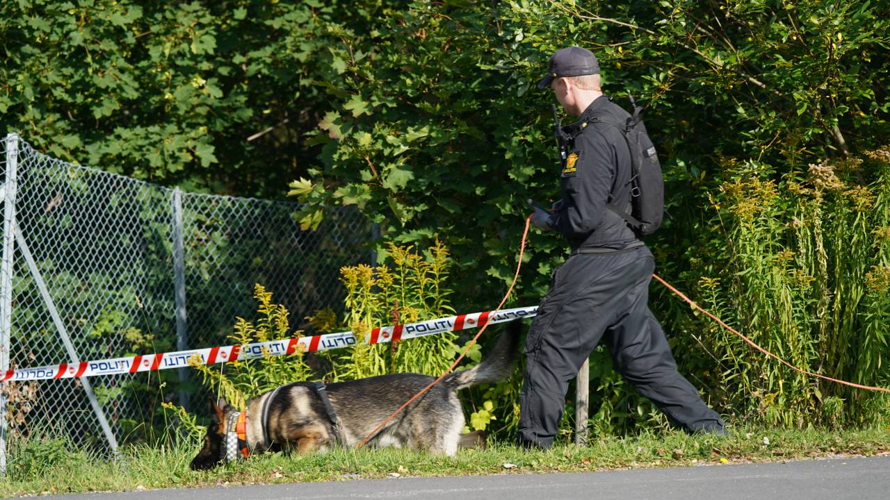 død lillehammer