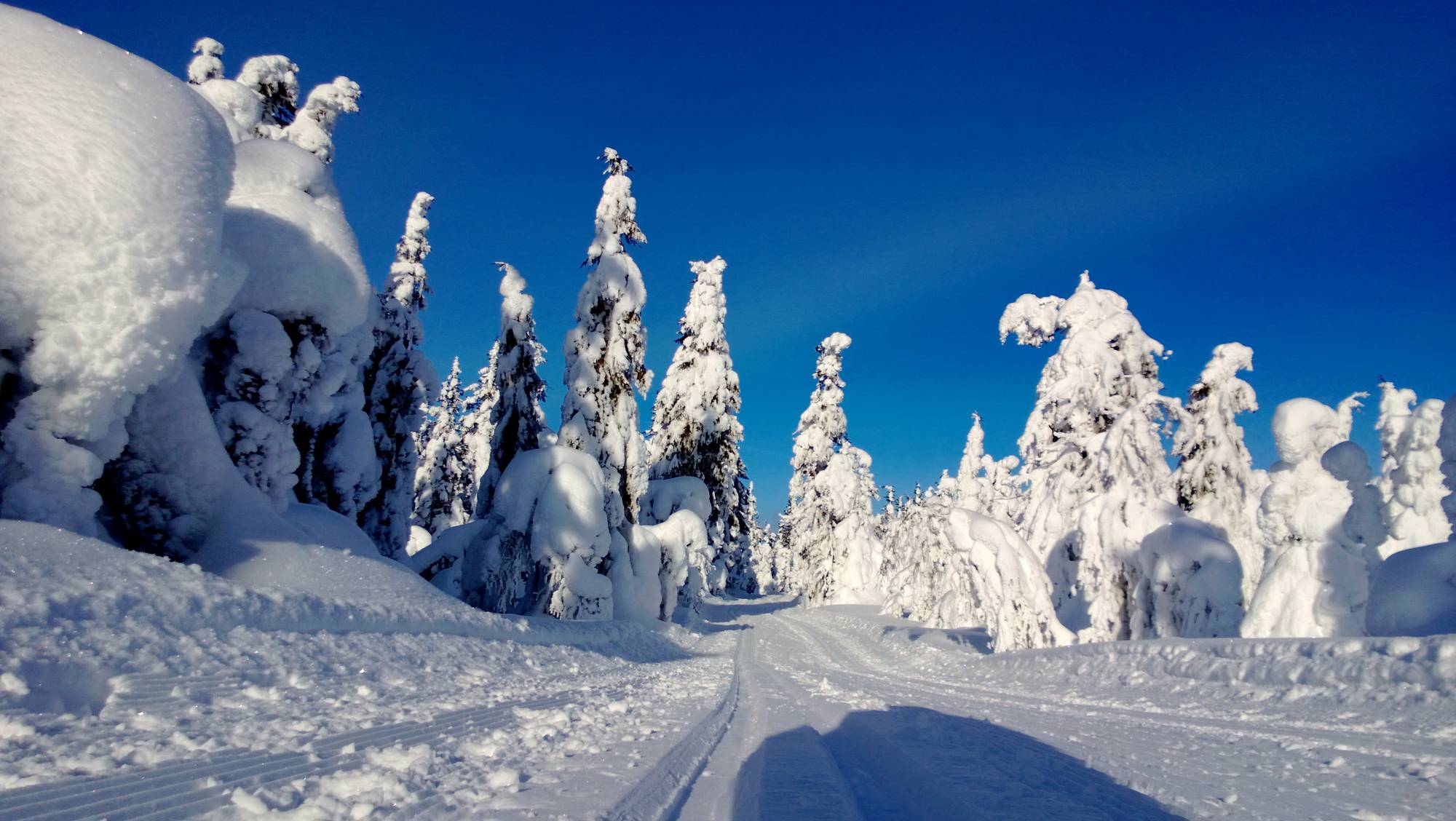 Vinter Mars Vinter eller vår i mars? – Yr