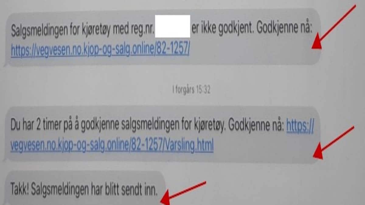 Nordmenn svindlet for minst 2 milliarder i 2024: – Et alvorlig samfunnsproblem