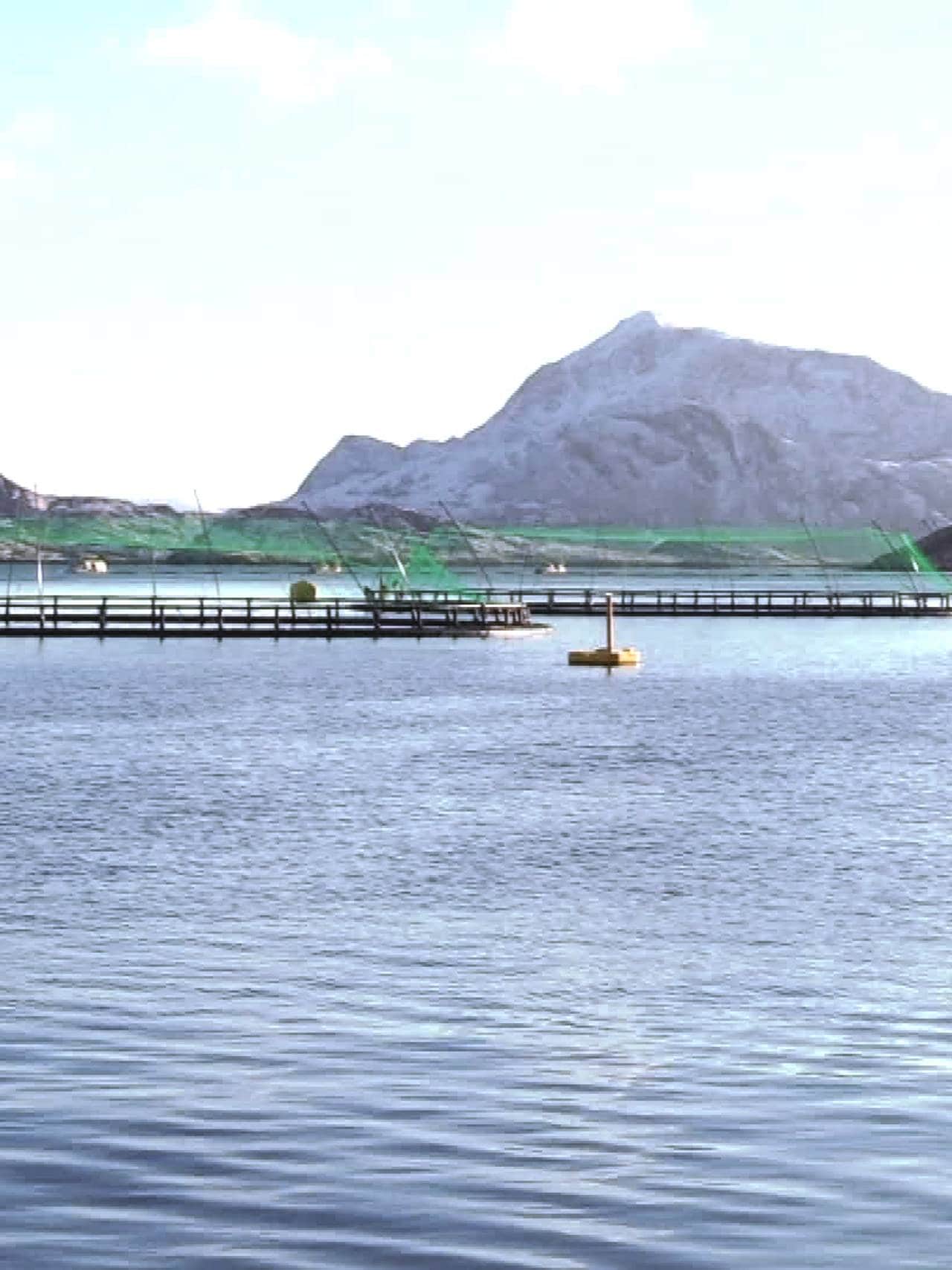 Kvarøy Fiskeoppdrett