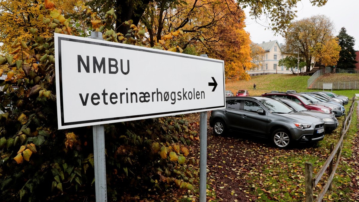 Samhold uten døde dyr