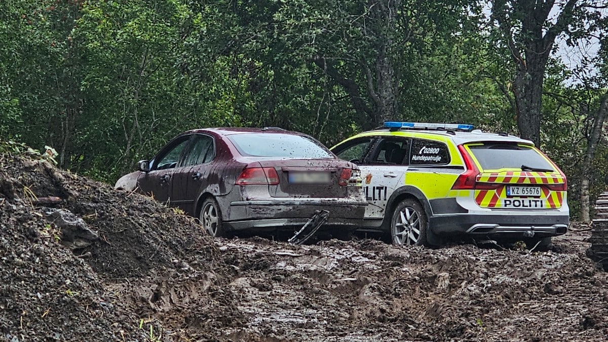 Maskerte personer med motorsag stjal fra butikk – sånn endte det