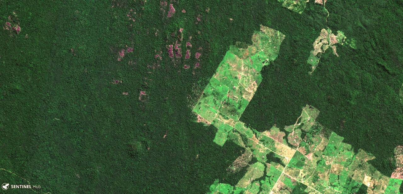 Satellitt-bilde over skog i Brasil i 2016