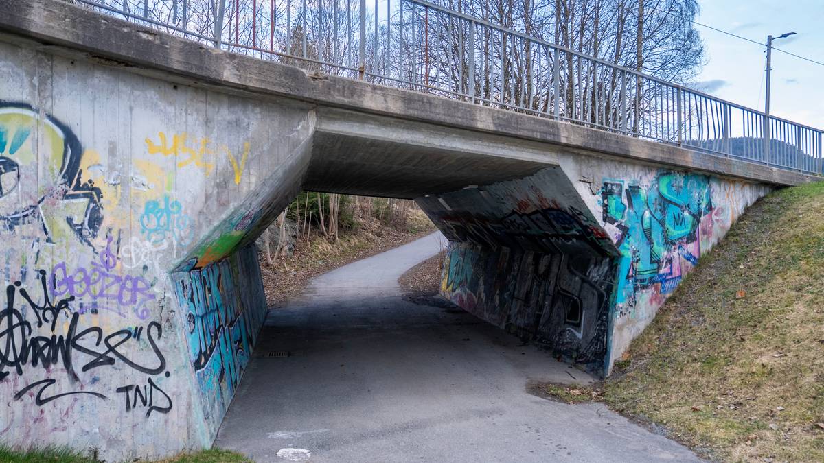 Flere overfall i Asker og Bærum – mistenkt knyttes til overfallsvoldtekt i Oslo