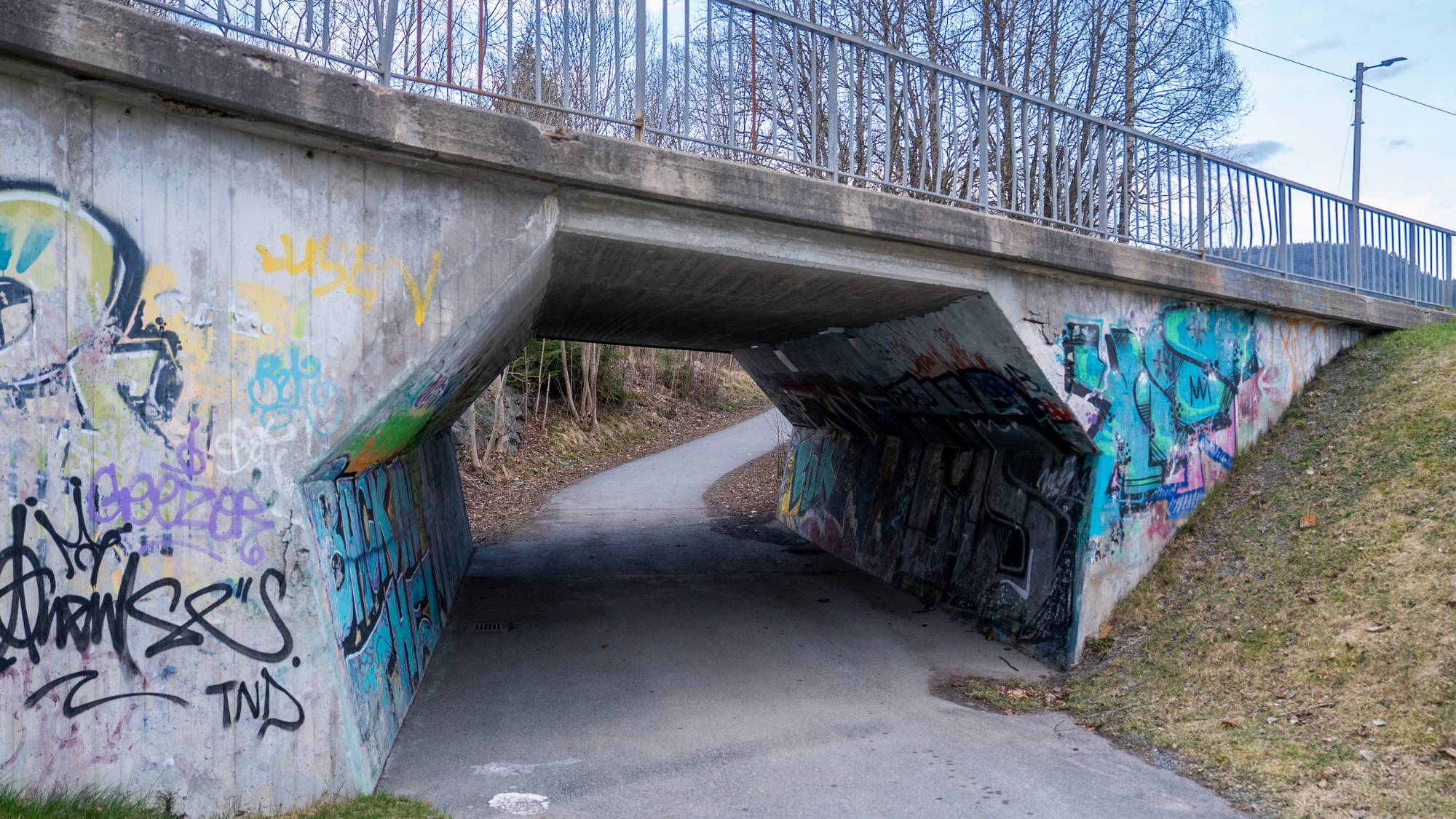 En betongbro med autovern på toppen er dekket av graffiti. En asfaltert gangvei går gjennom tunnelen under broen. Området er omgitt av trær og vegetasjon. (Bildebeskrivelsen er laget av en KI-tjeneste)