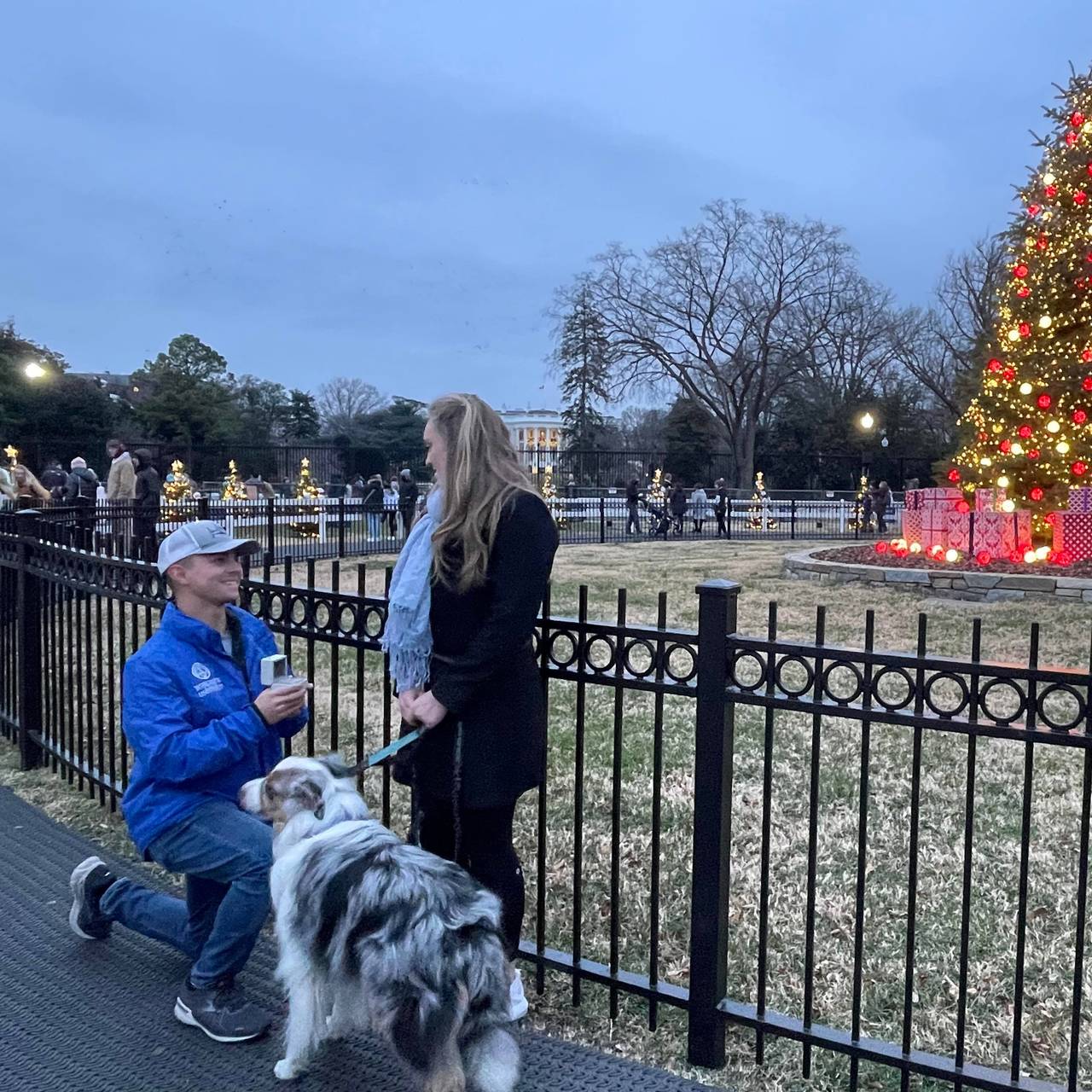 En mann frir til en kvinne som holder en hund foran et juletre utendørs.