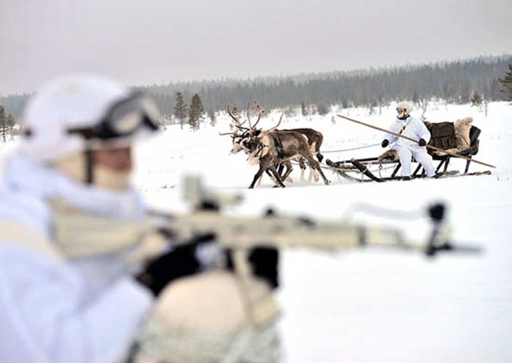 Russlands forsvar bruker reinsdyr og hunder som transportmiddel i Arktis. God idé, mener reineier