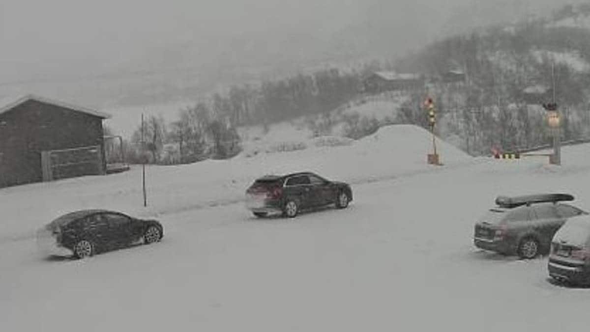 Kolonnekjøring på Hardangervidda – NRK Vestland