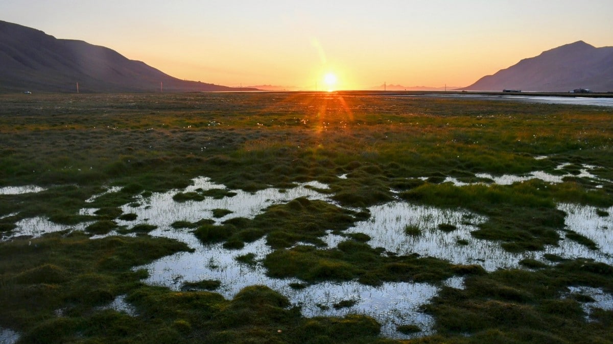 Ekstreme klimaendringer på Svalbard: - Skremmende store endringer