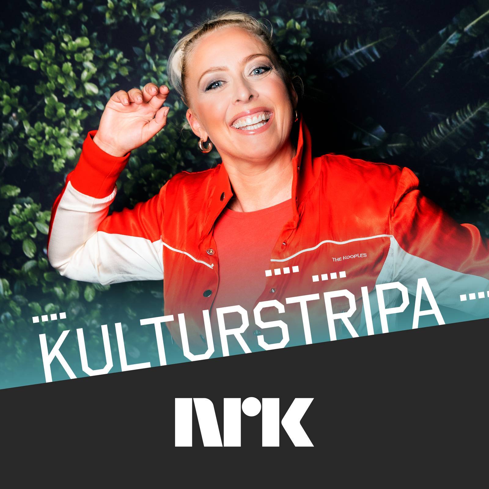 #39 – Allen v Farrow, Britney-dokumentar og spennende, nigeriansk bok