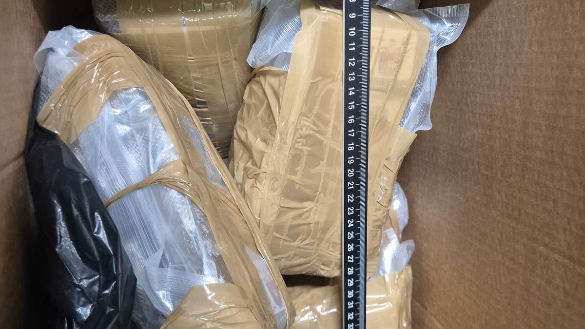 Politiet: – Beslagla cannabis til 4 millioner kroner