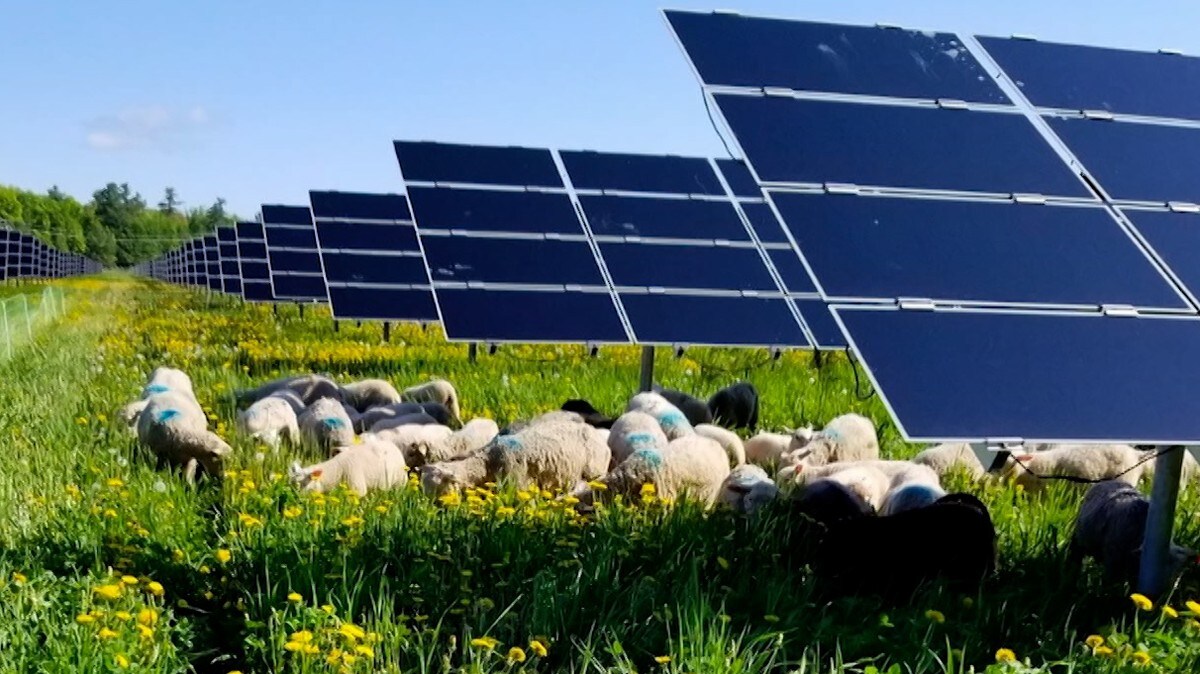 Kan bli solkraftverk i Birkenes