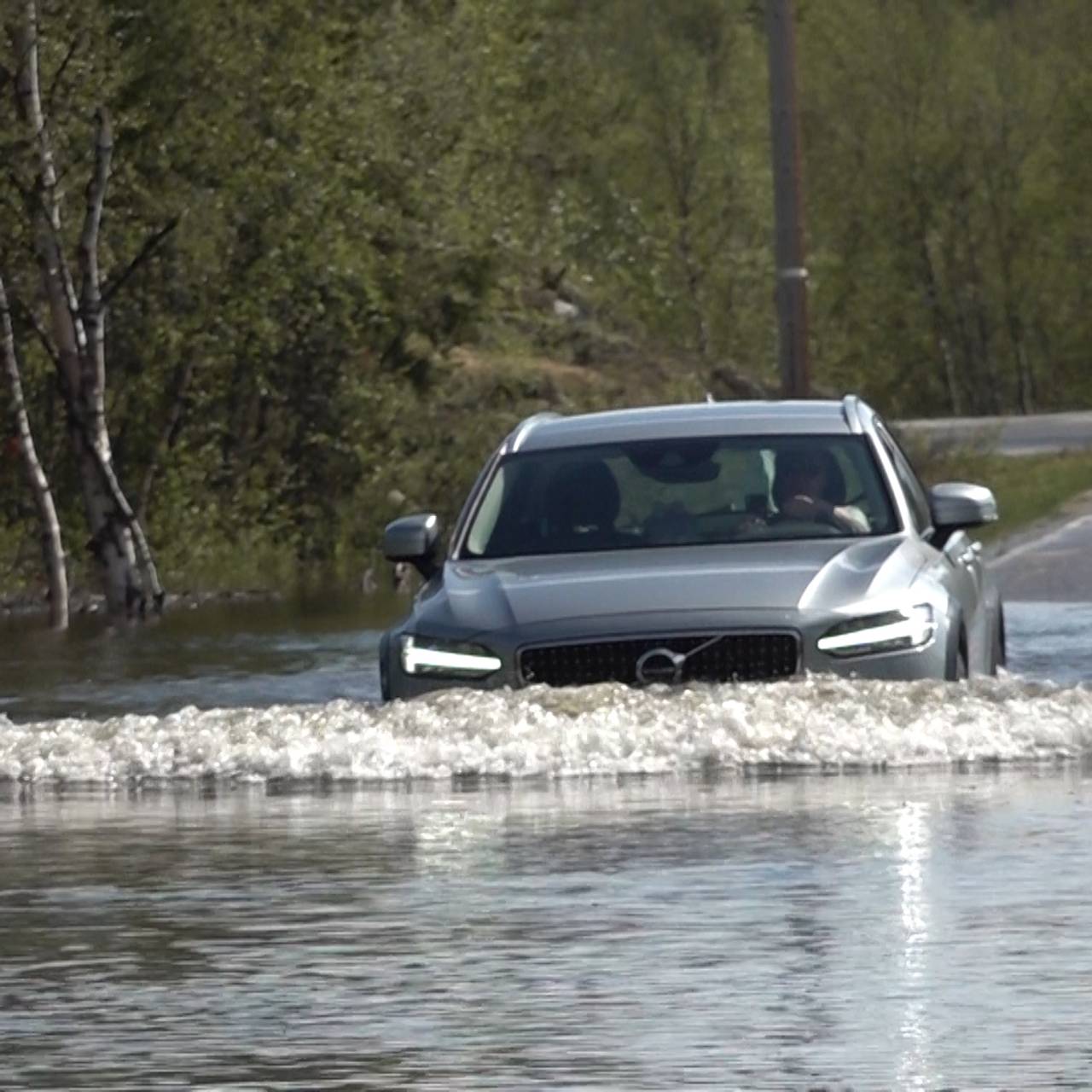 Flom Skoganvarre