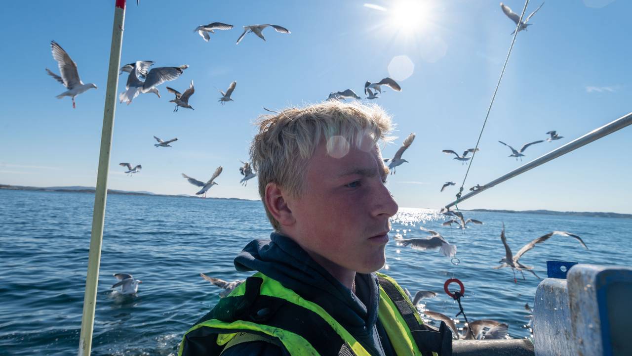 Adrian Hanssen er ute og fisker - mange måker flyr rundt hodet hans.