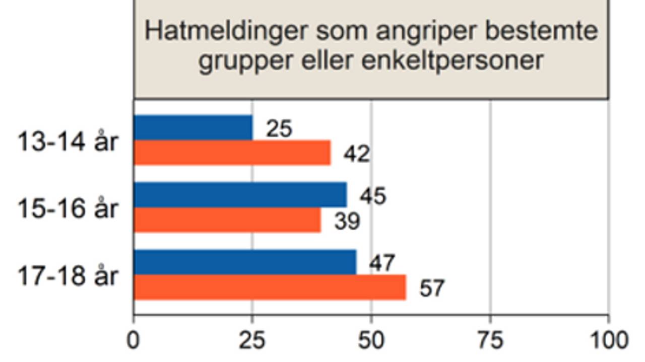 Hatmeldingar. Barn og medium undersøkinga 2020