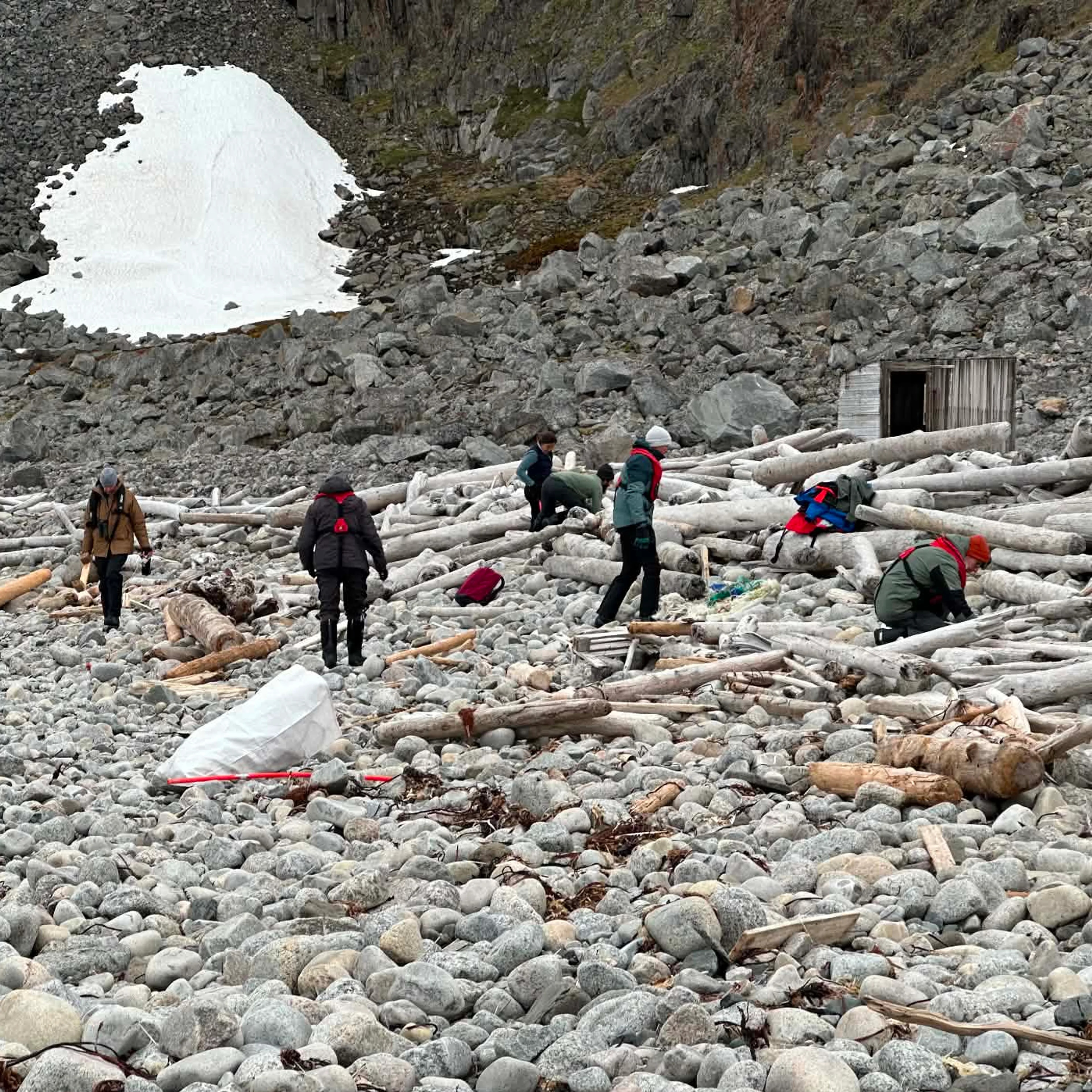 Flere mennesker på en steinete strand på Svalbard plukker søppel som ligger strødd