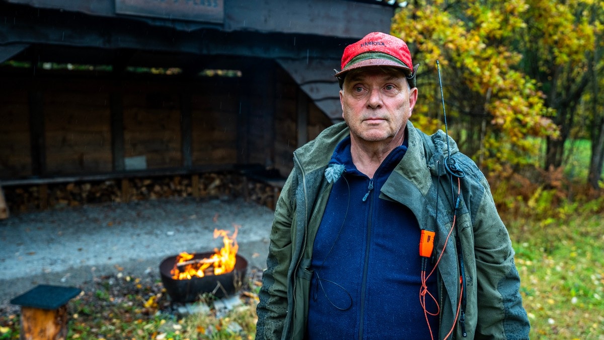 Fryktar elgen kan bli raudlista: – Heilt tomt