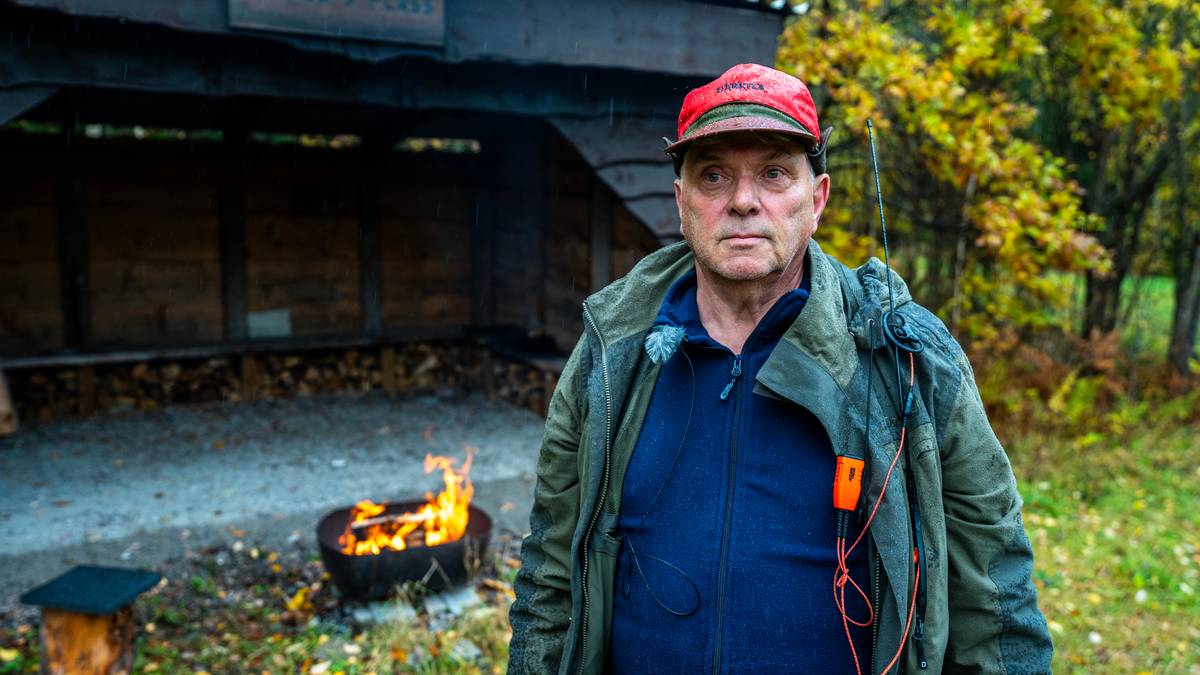 Fryktar elgen kan bli raudlista i Noreg – NRK Vestfold og Telemark – Lokale nyheter, TV og radio