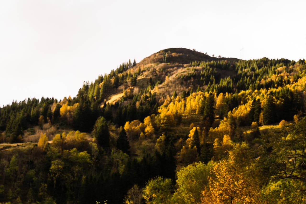 Naturbilder fra Havrå, høsten 2020