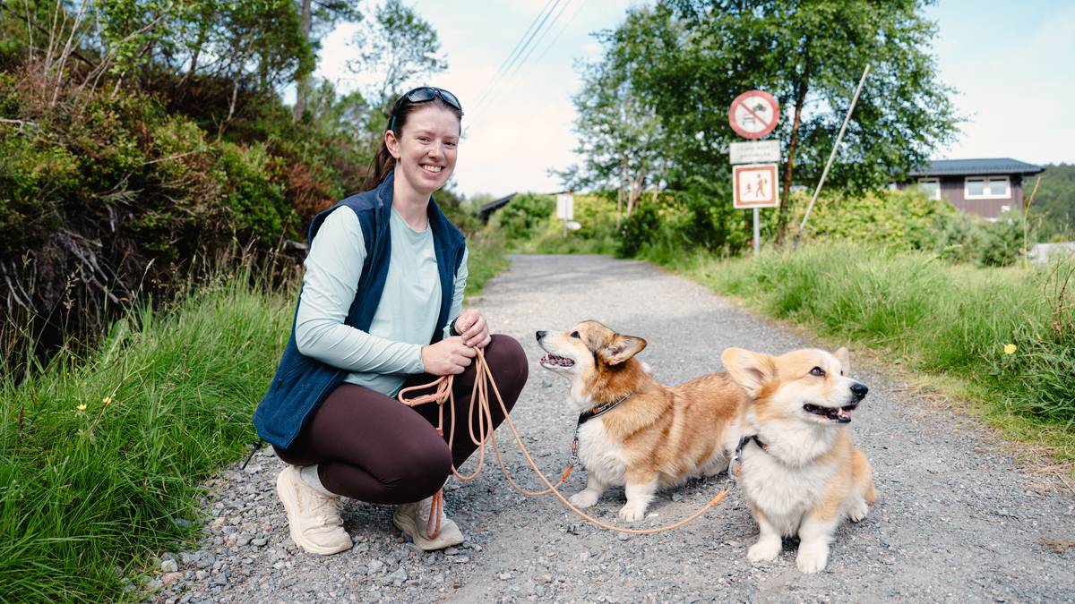 Aldri før har så mange blitt sjuke av flåttbit – Flåttsenteret meiner risikoen blir overvurdert