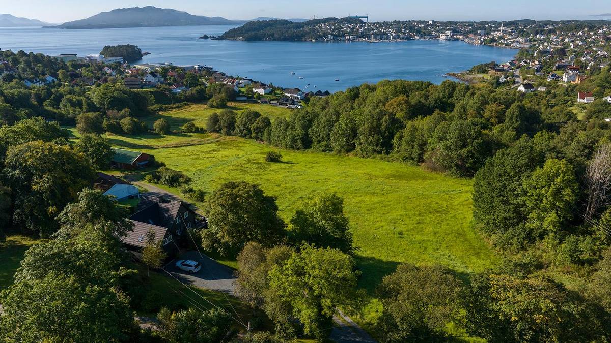 Vil bygga 250 bustader her utan å kartlegga naturen: – Eitt av dei verste døma me har sett