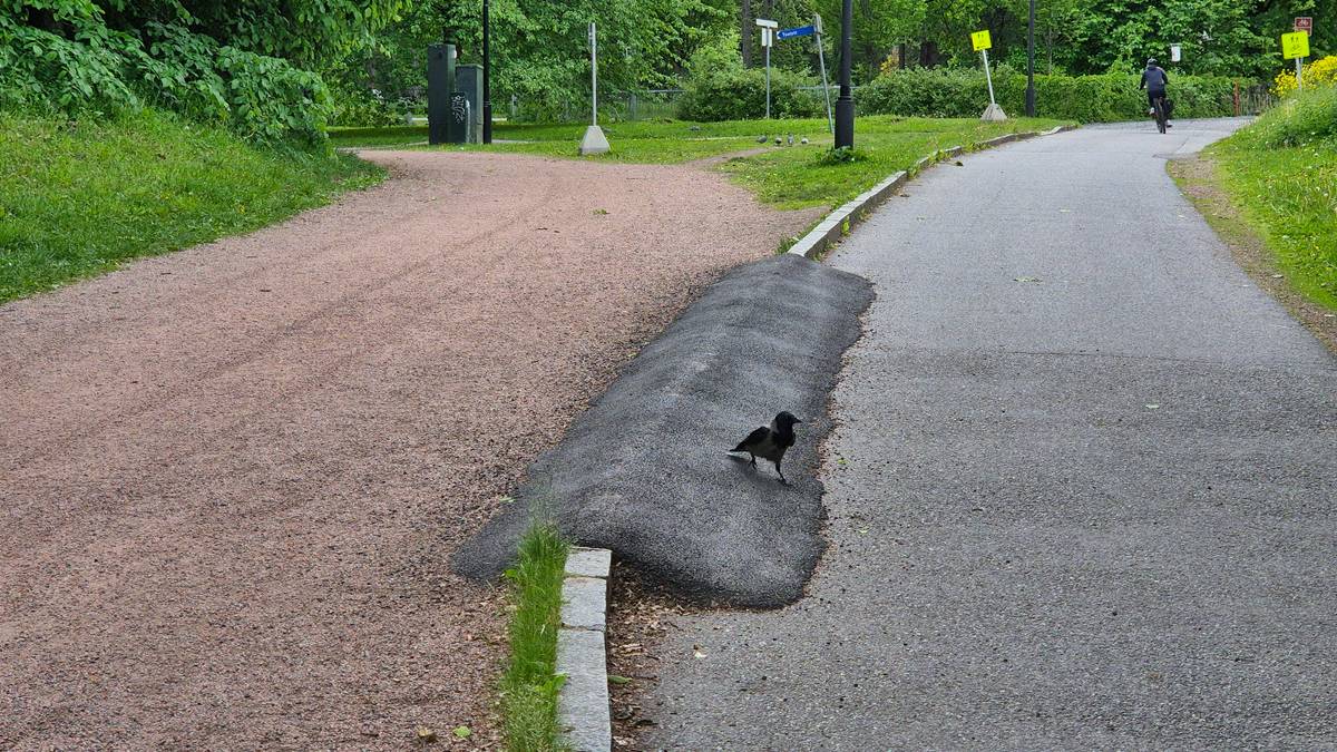 Stenger T-banen og ber folk sykle: – Eneste tiltaket er en stakkarslig asfaltpølse