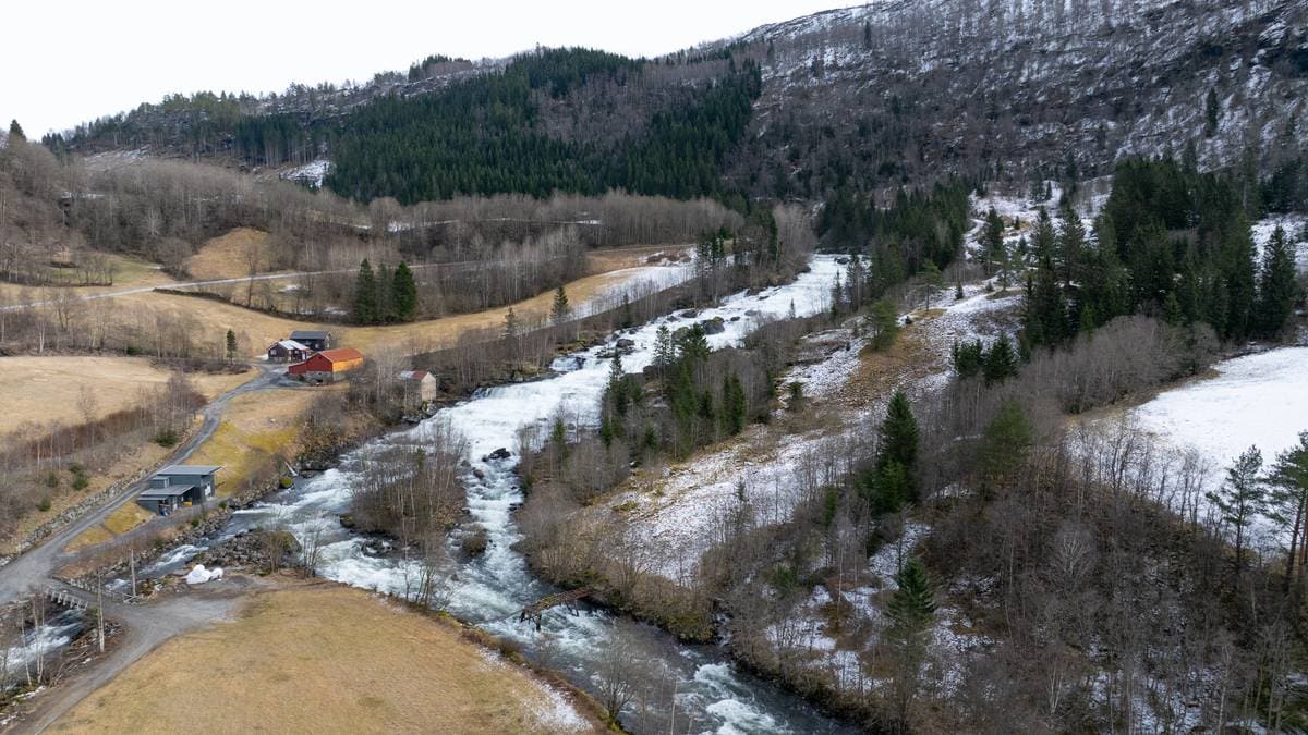 Nye teljingar gir håp for villaksen