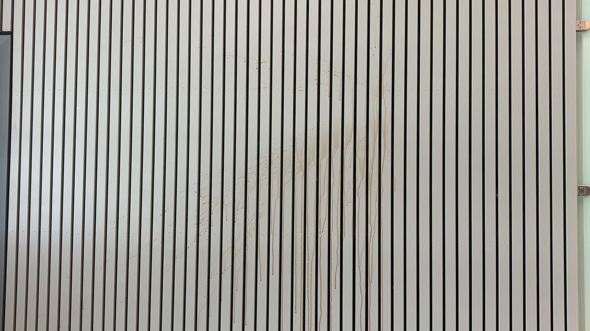 Drapsforbund-rettssaken: Kastet kopp med sjokolademelk mot dommeren