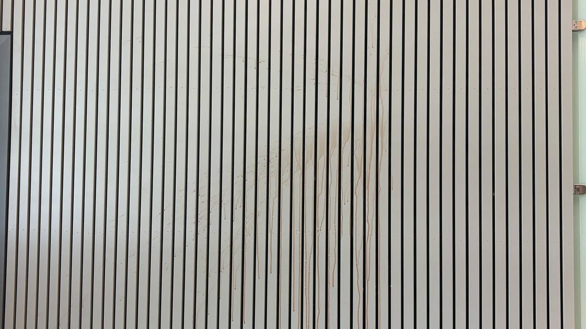 Drapsforbund-rettssaken: Kastet kopp med sjokolademelk mot dommeren