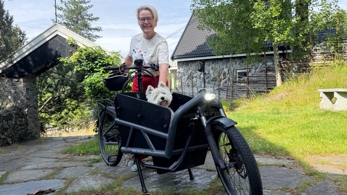 Elsykkelen matcher bilen