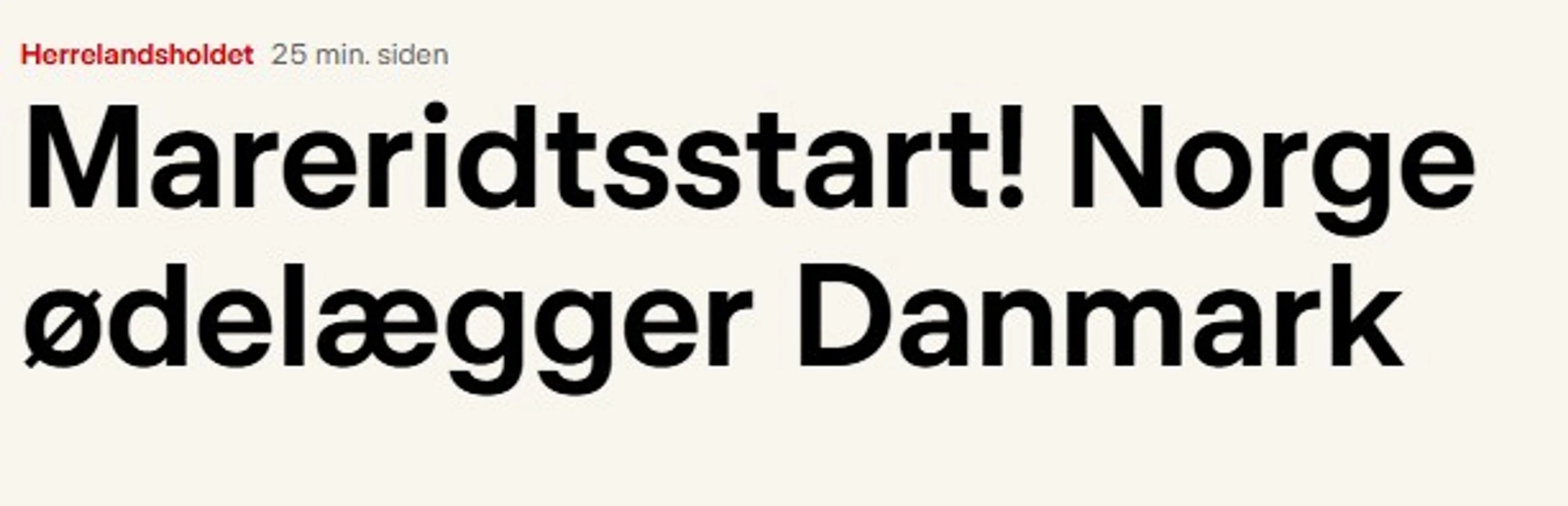 skjerbilde dansk avis